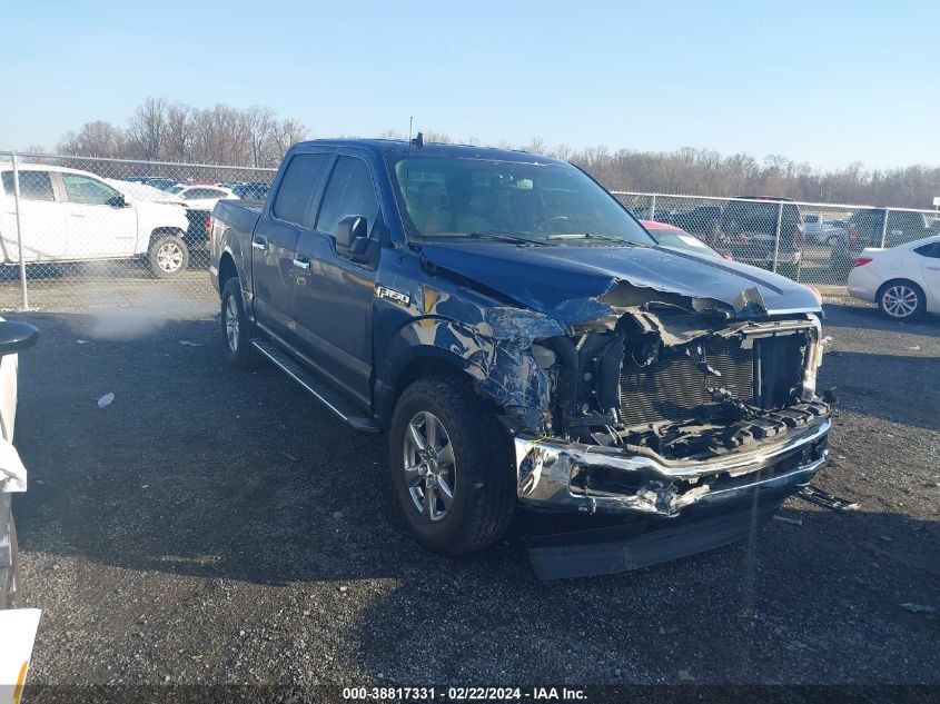 2019 FORD F-150 XLT