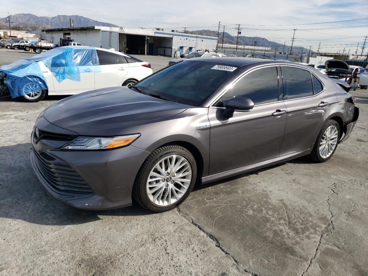 2020 TOYOTA CAMRY XLE