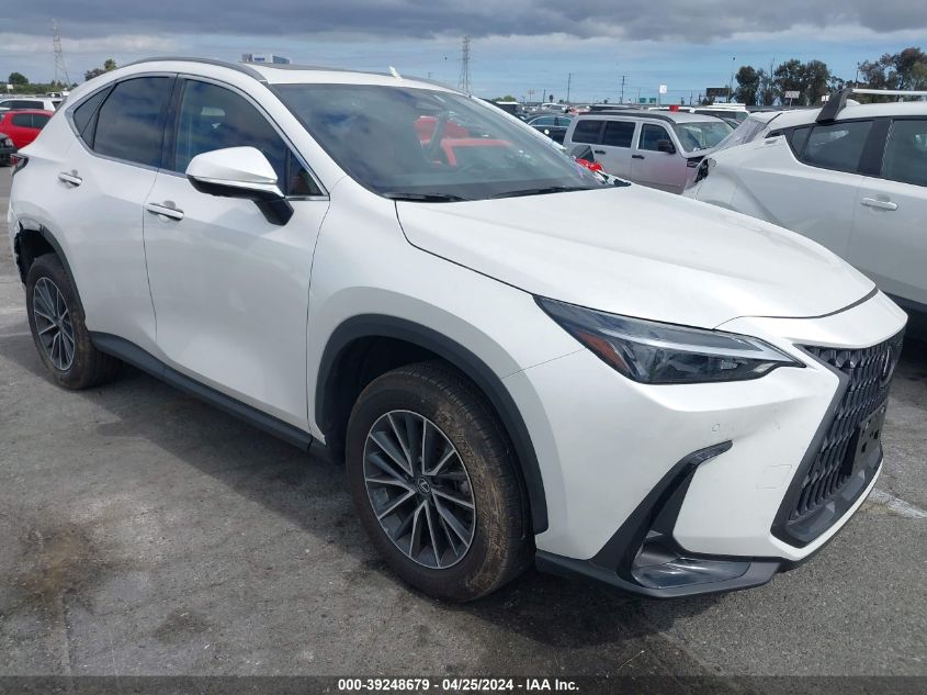 2024 LEXUS NX 350 PREMIUM