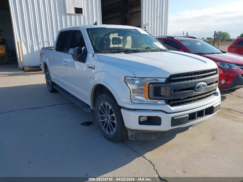 2019 FORD F-150 XLT