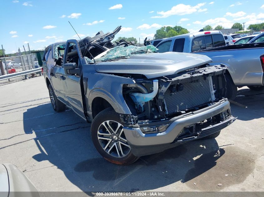 2023 FORD F-150 XL