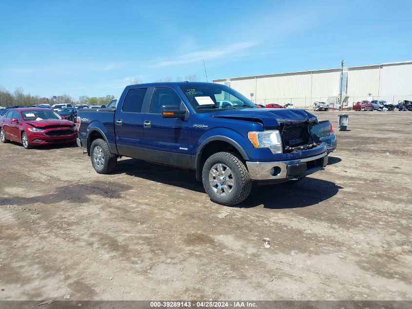 2011 FORD F-150 XLT