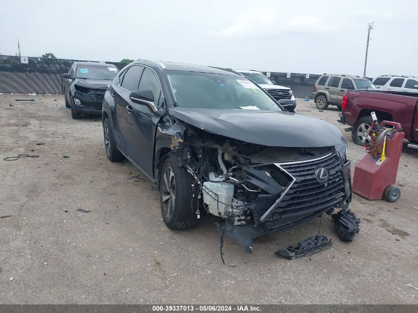 2019 LEXUS NX 300