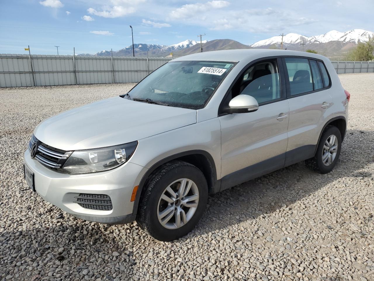 2013 VOLKSWAGEN TIGUAN S