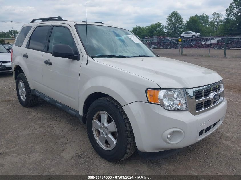 2010 FORD ESCAPE XLT