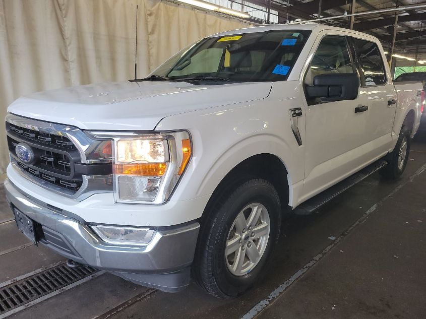 2021 FORD F-150 XLT