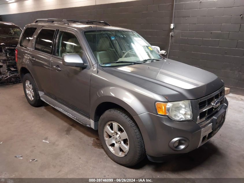 2010 FORD ESCAPE LIMITED