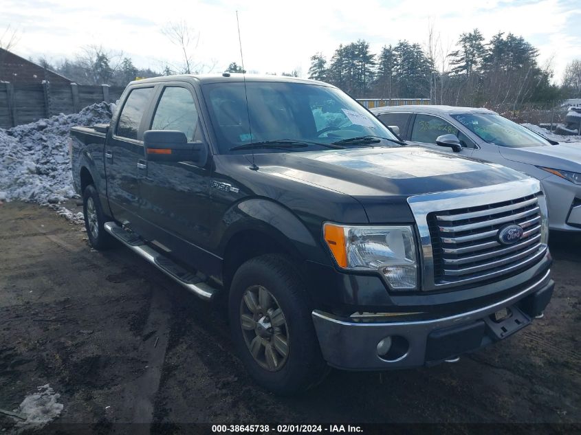 2010 FORD F-150 FX4/HARLEY-DAVIDSON/LARIAT/XL/XLT