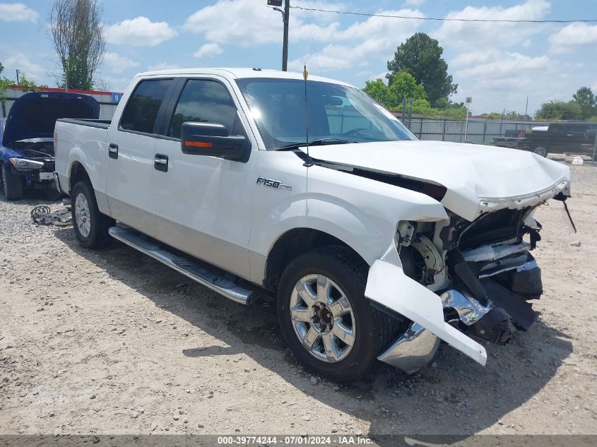 2013 FORD F-150 XLT