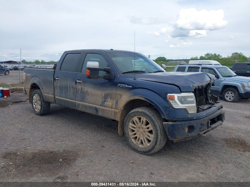 2013 FORD F-150 PLATINUM