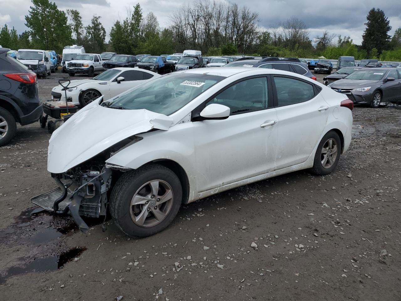 2014 HYUNDAI ELANTRA SE