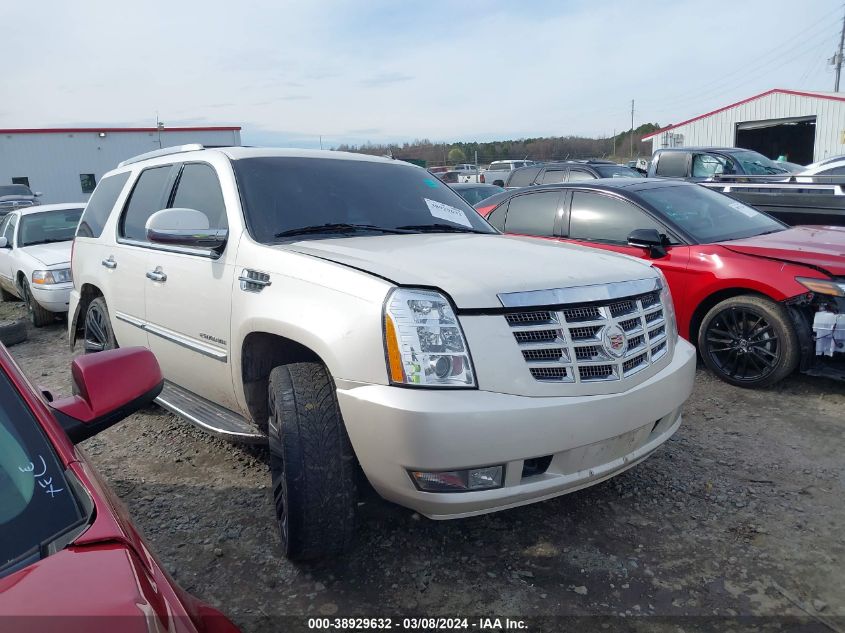 2011 CADILLAC ESCALADE LUXURY