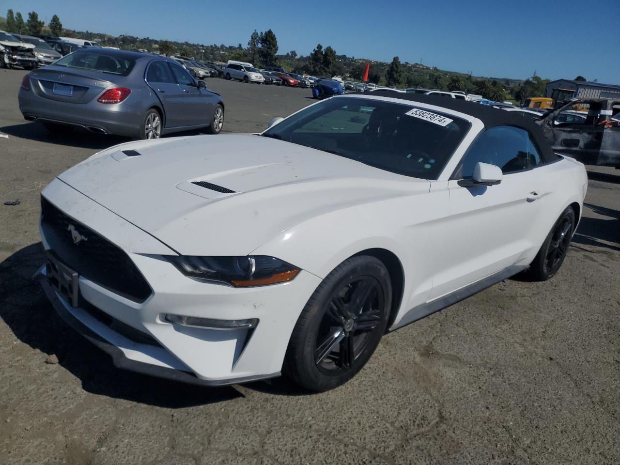 2019 FORD MUSTANG