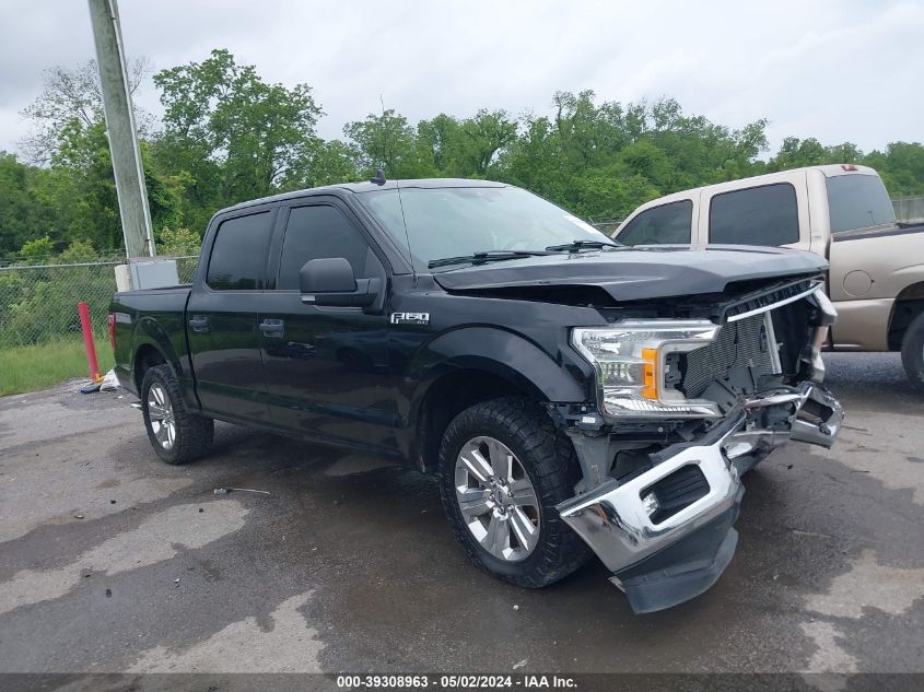 2019 FORD F-150 XLT