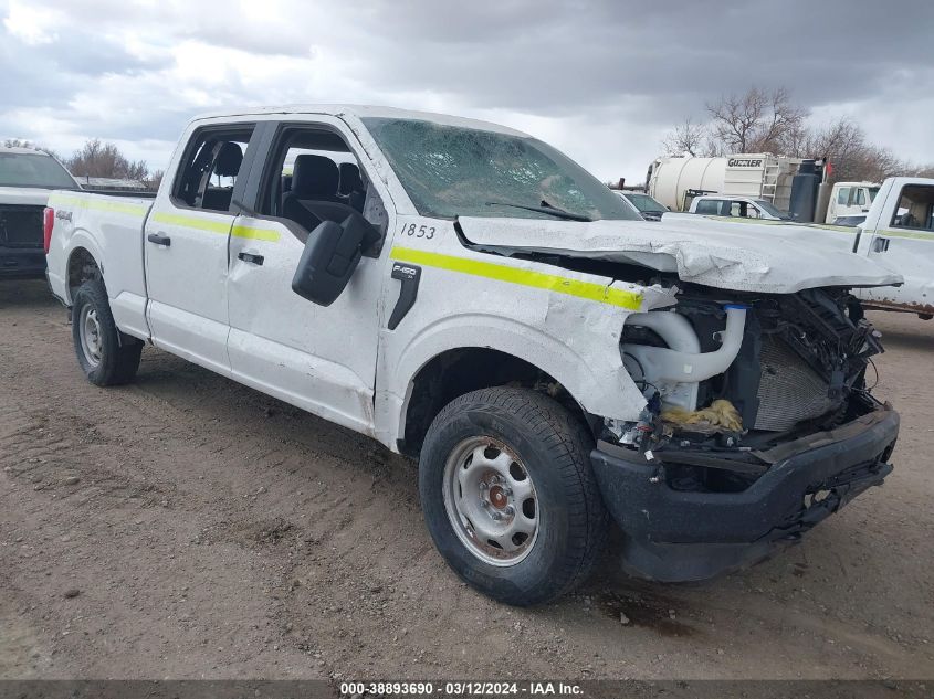 2023 FORD F-150 XL