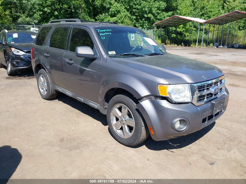 2011 FORD ESCAPE XLT