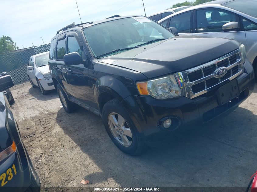 2010 FORD ESCAPE XLT