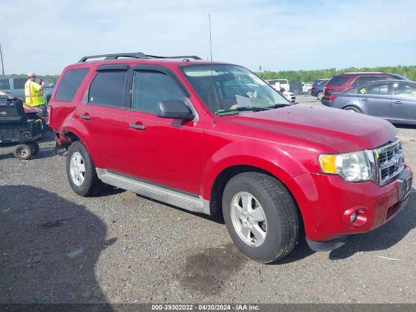 2011 FORD ESCAPE XLT