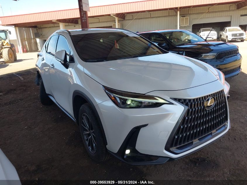 2024 LEXUS NX 350