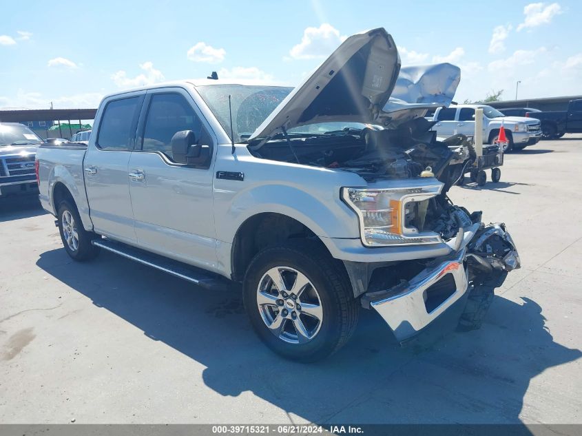 2019 FORD F-150 XLT