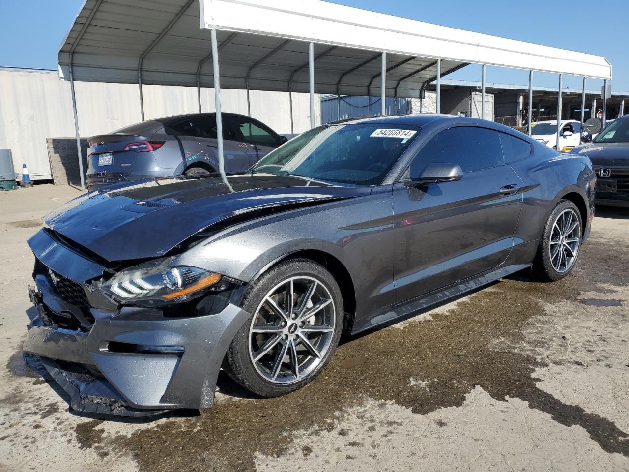 2019 FORD MUSTANG