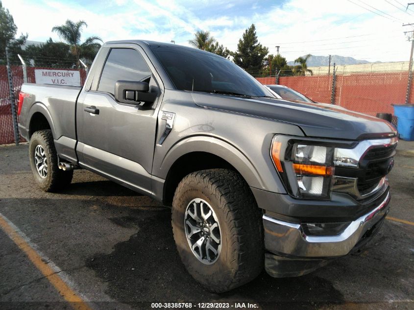 2023 FORD F-150 XLT