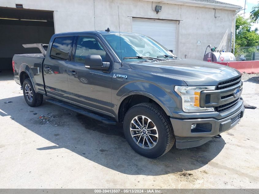 2019 FORD F-150 XLT