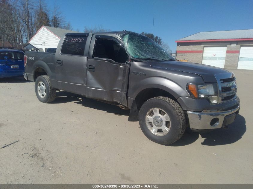 2014 FORD F-150 XLT