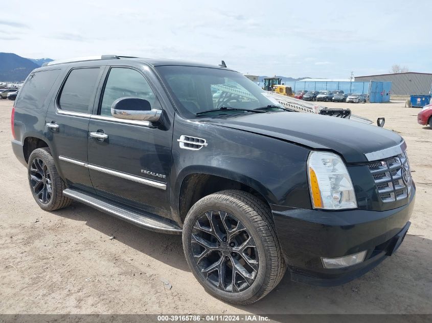 2010 CADILLAC ESCALADE LUXURY