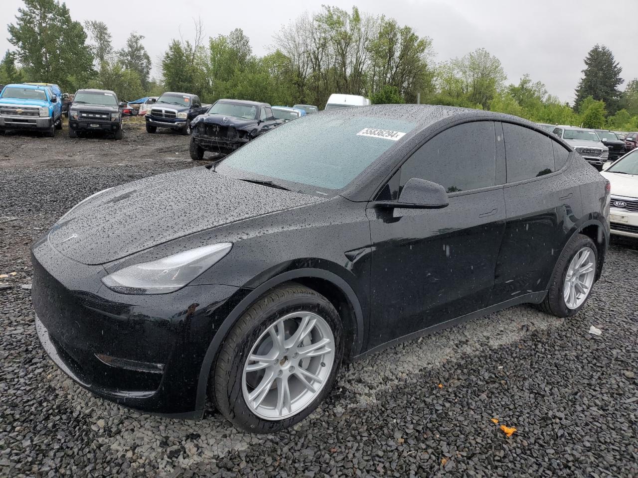 2023 TESLA MODEL Y