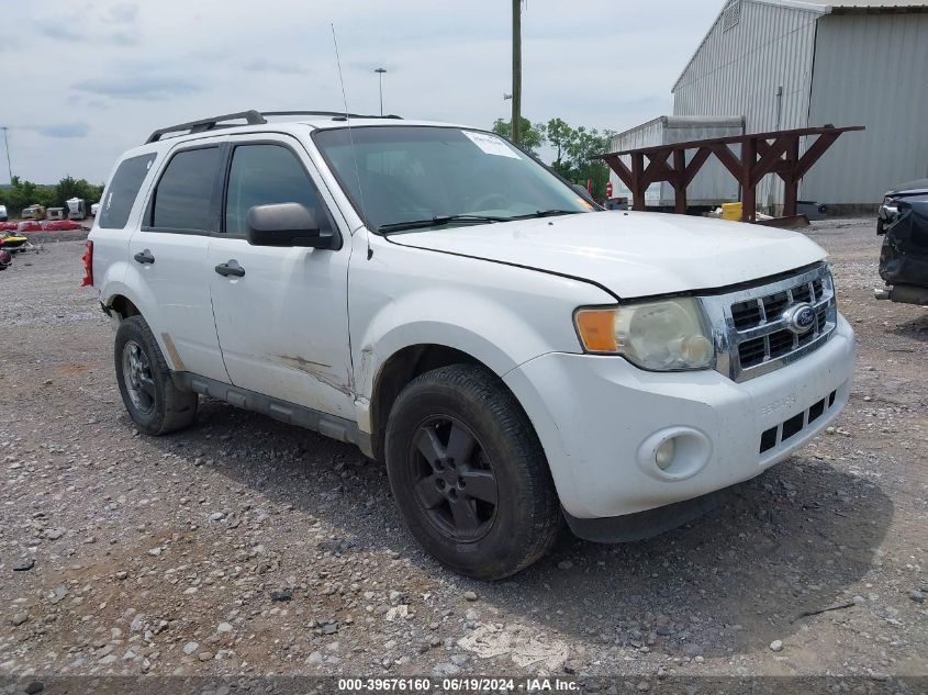 2010 FORD ESCAPE XLT