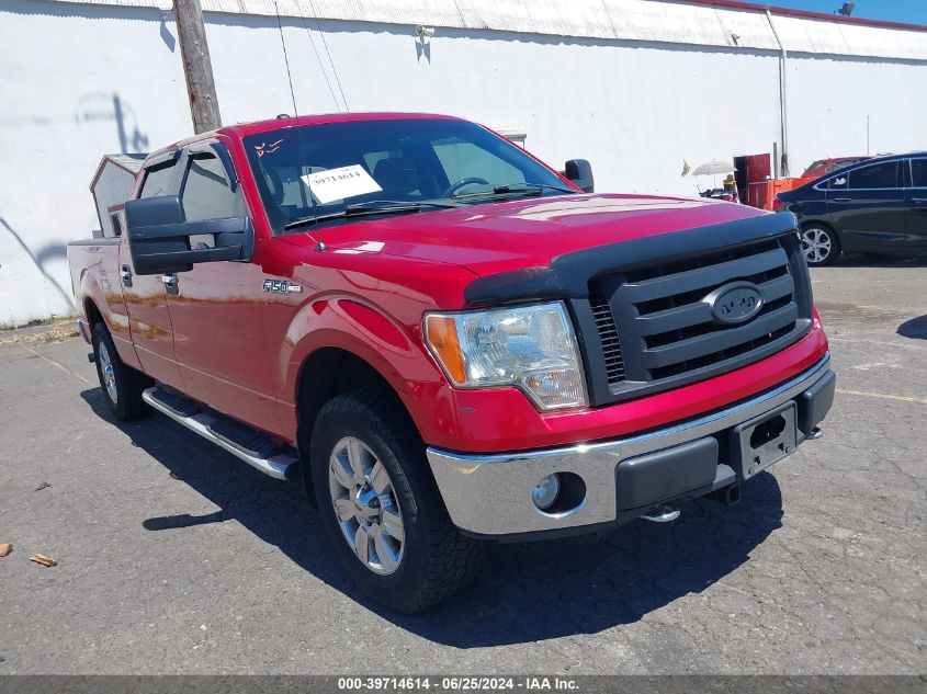 2010 FORD F-150 XLT