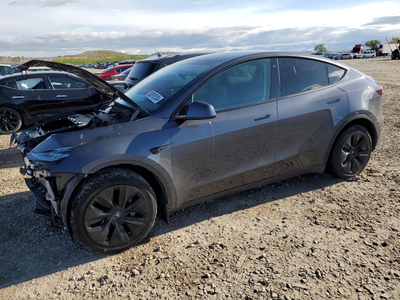 2021 TESLA MODEL Y