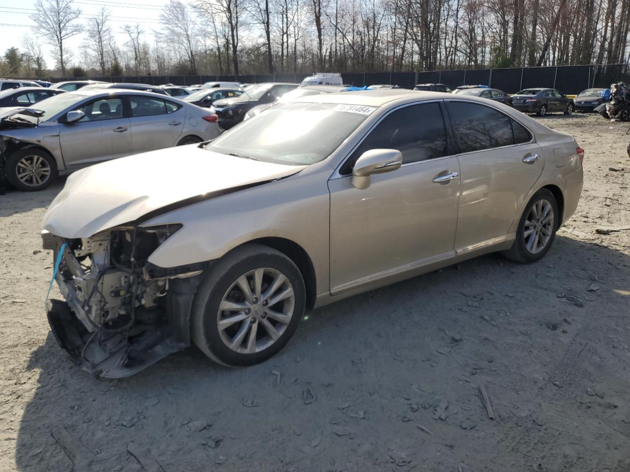 2010 LEXUS ES 350