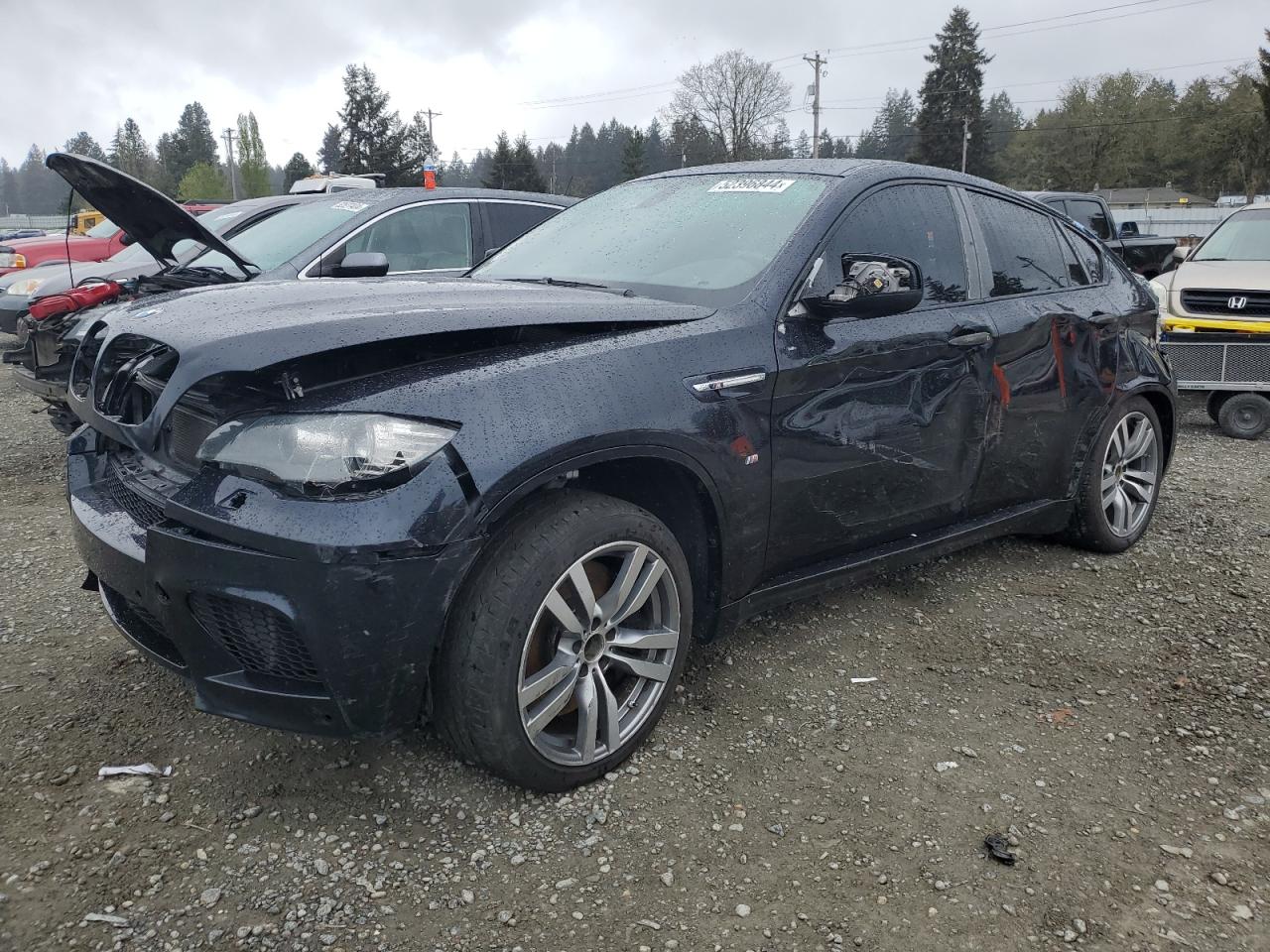 2011 BMW X6 M