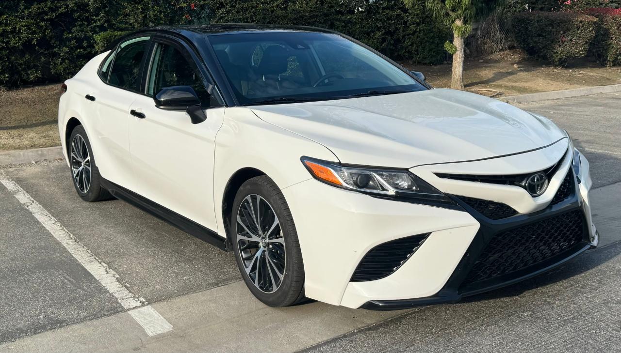 2019 TOYOTA CAMRY L