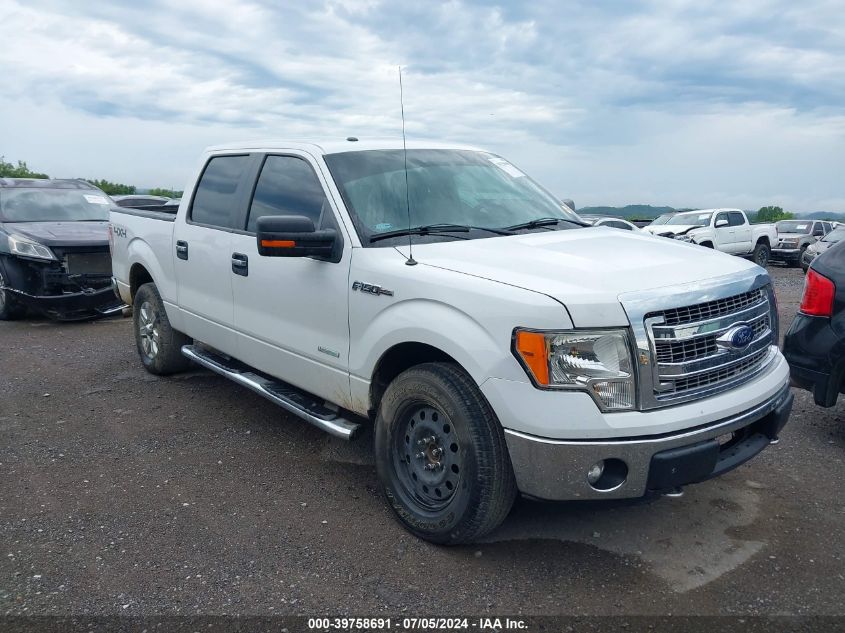 2013 FORD F-150 XLT