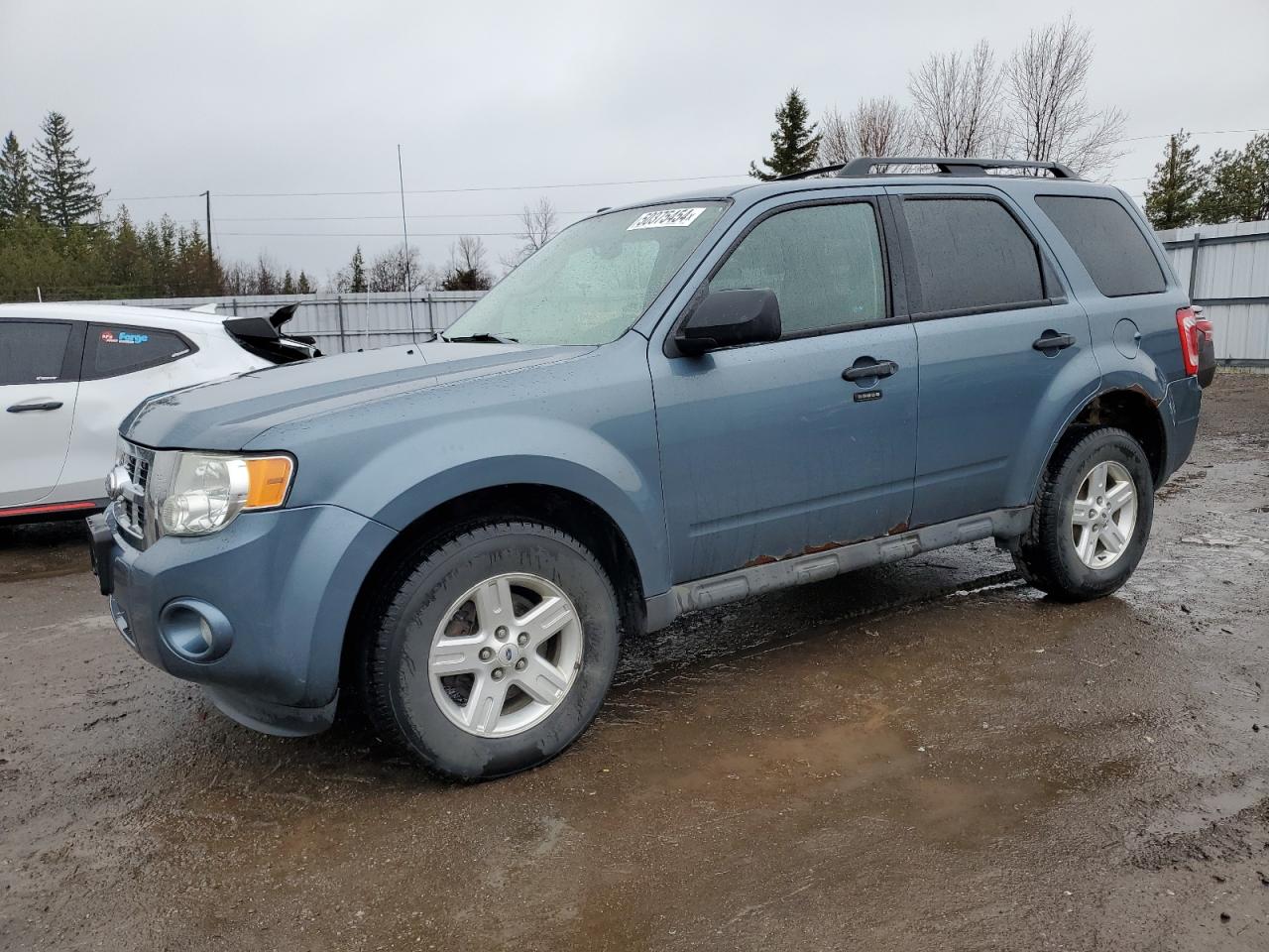 2011 FORD ESCAPE XLT