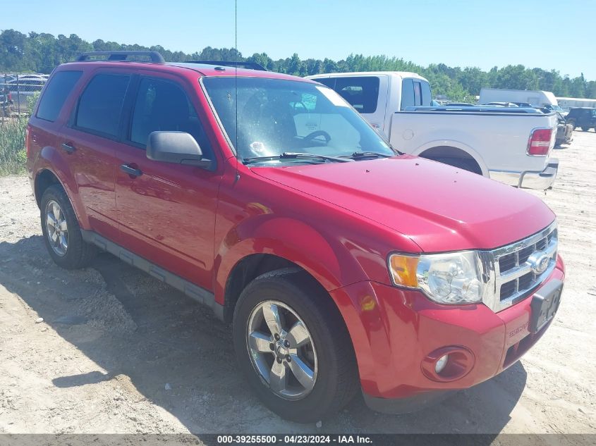 2010 FORD ESCAPE XLT