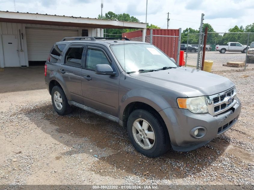 2010 FORD ESCAPE XLT