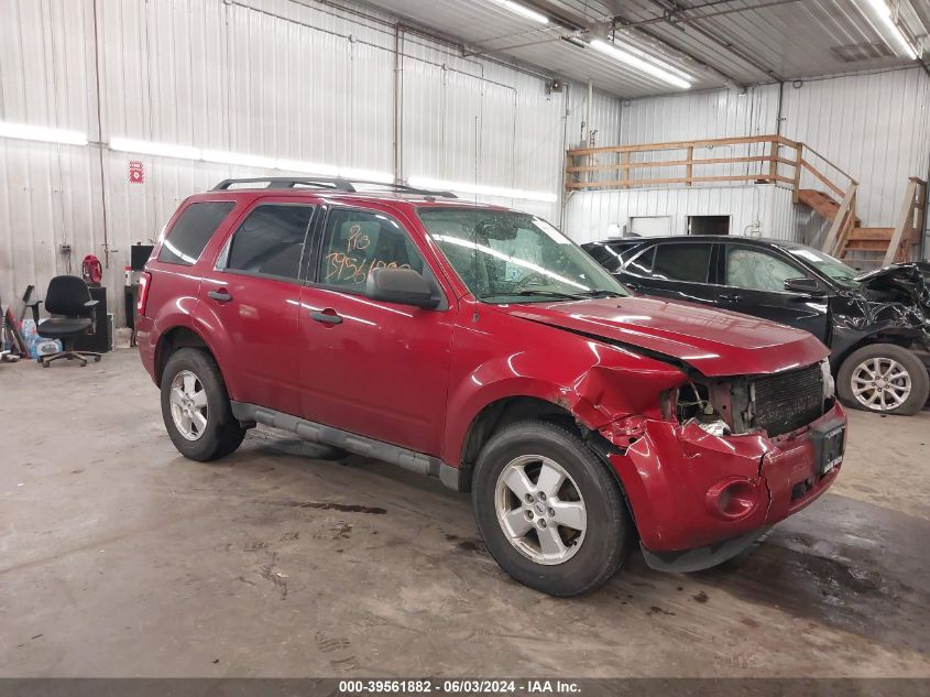 2012 FORD ESCAPE XLT