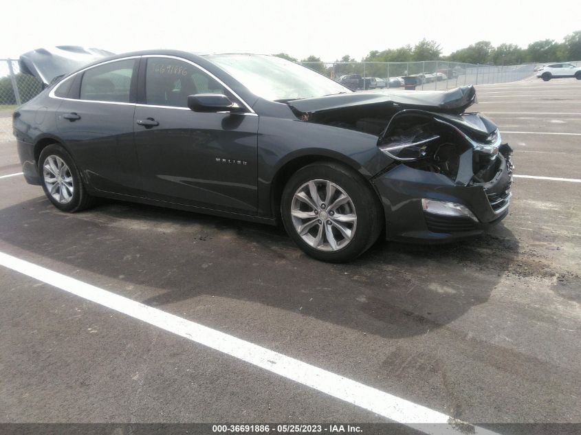 2019 CHEVROLET MALIBU LT