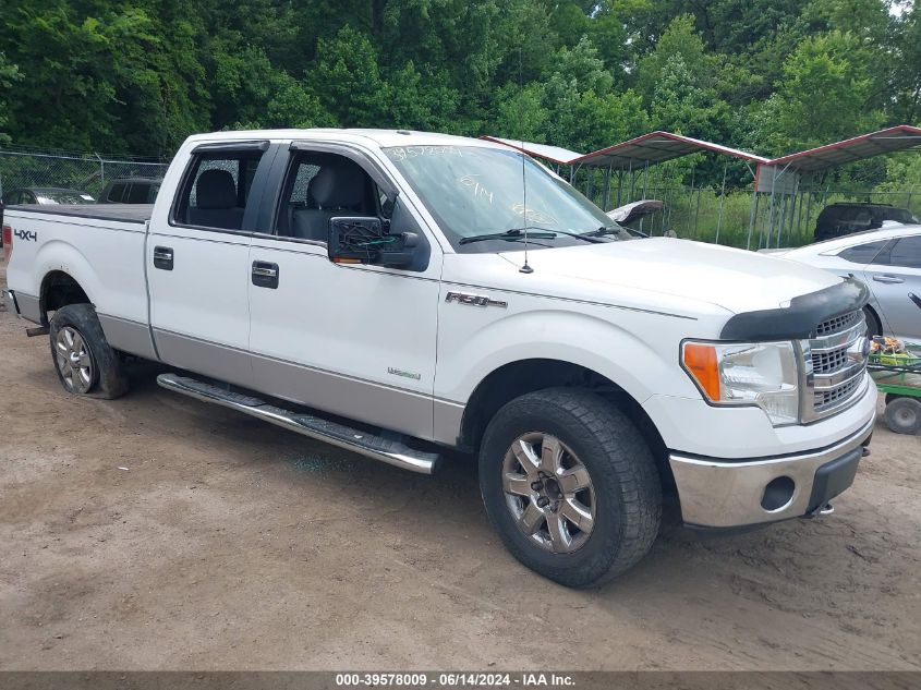 2013 FORD F-150 XLT