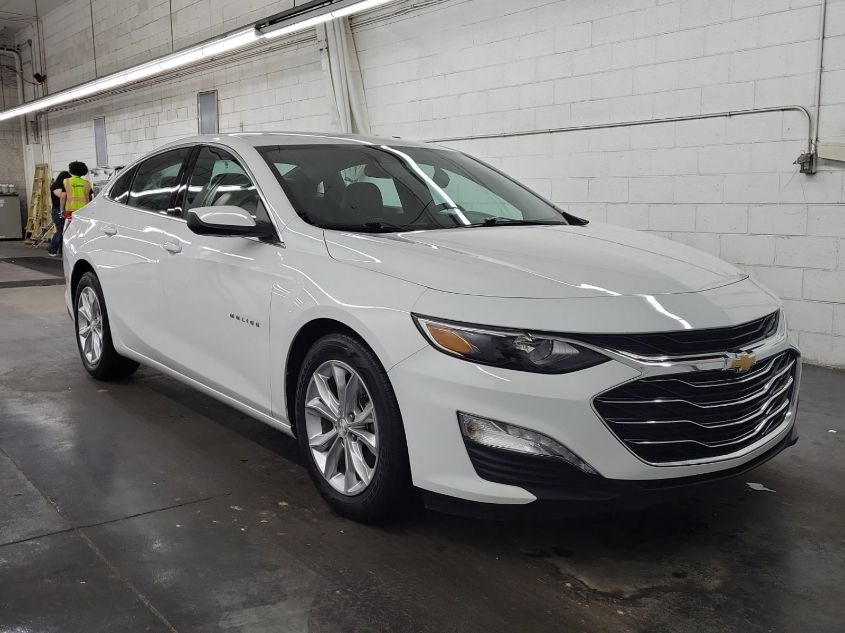 2019 CHEVROLET MALIBU LT