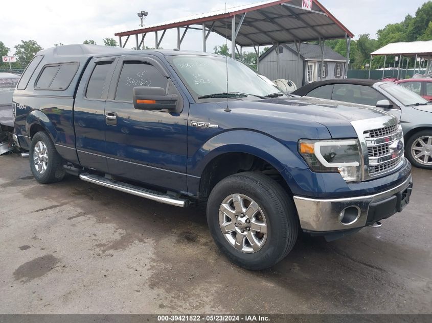 2014 FORD F-150 XLT