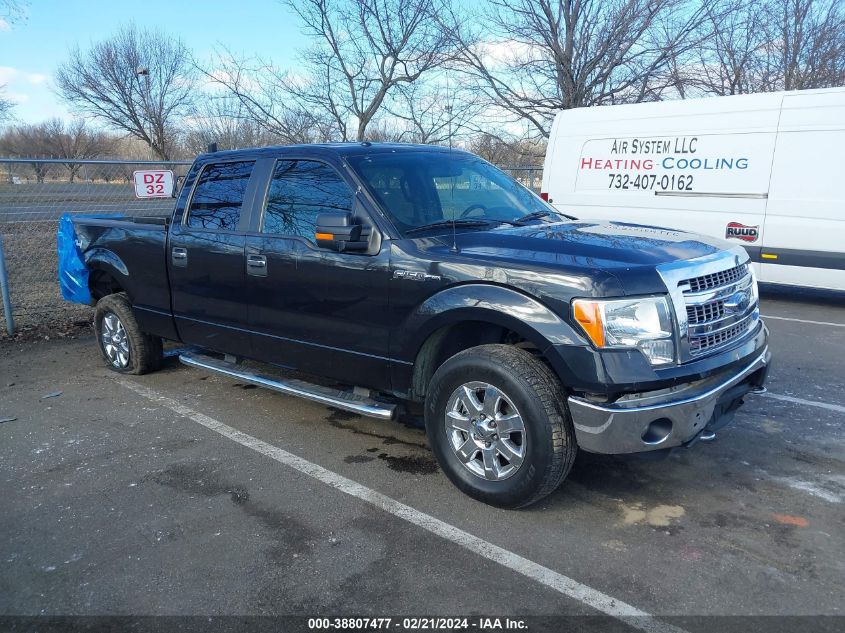 2014 FORD F-150 XLT