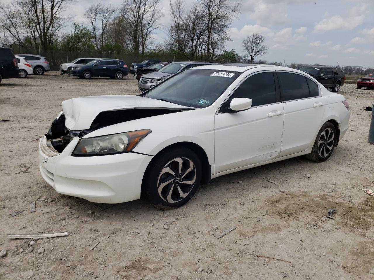 2011 HONDA ACCORD EXL