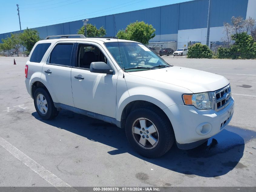 2010 FORD ESCAPE XLT