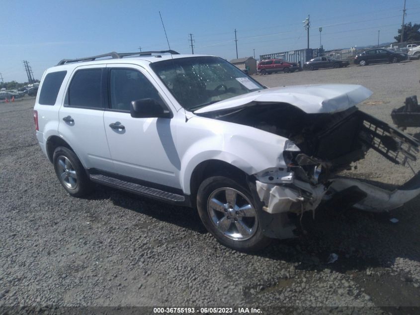 2011 FORD ESCAPE XLT