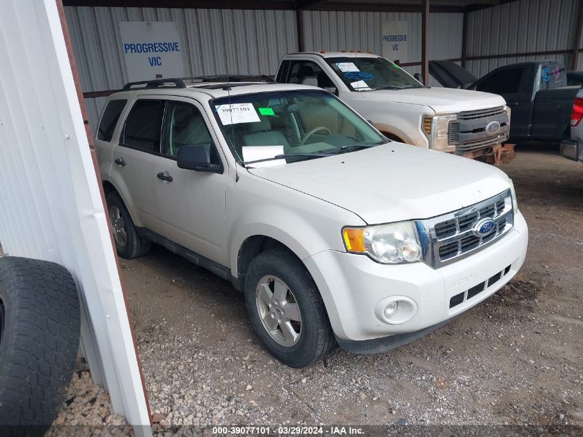 2011 FORD ESCAPE XLT